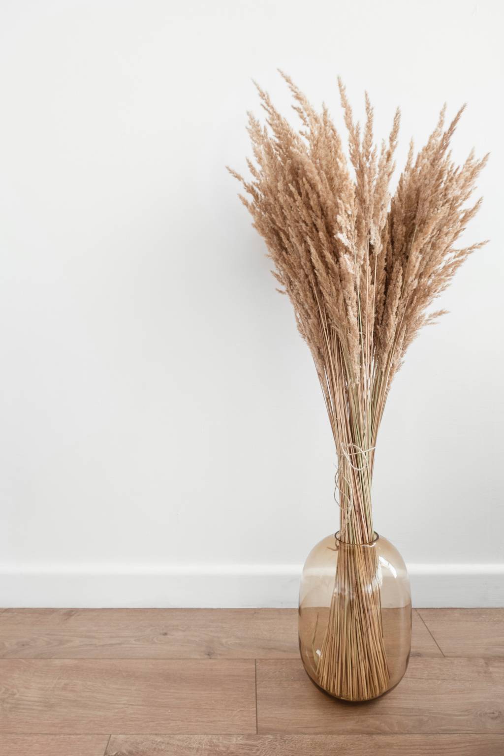 katsia-jazwinska-y-IwXNMxN_o-unsplash Capim-dos-pampas