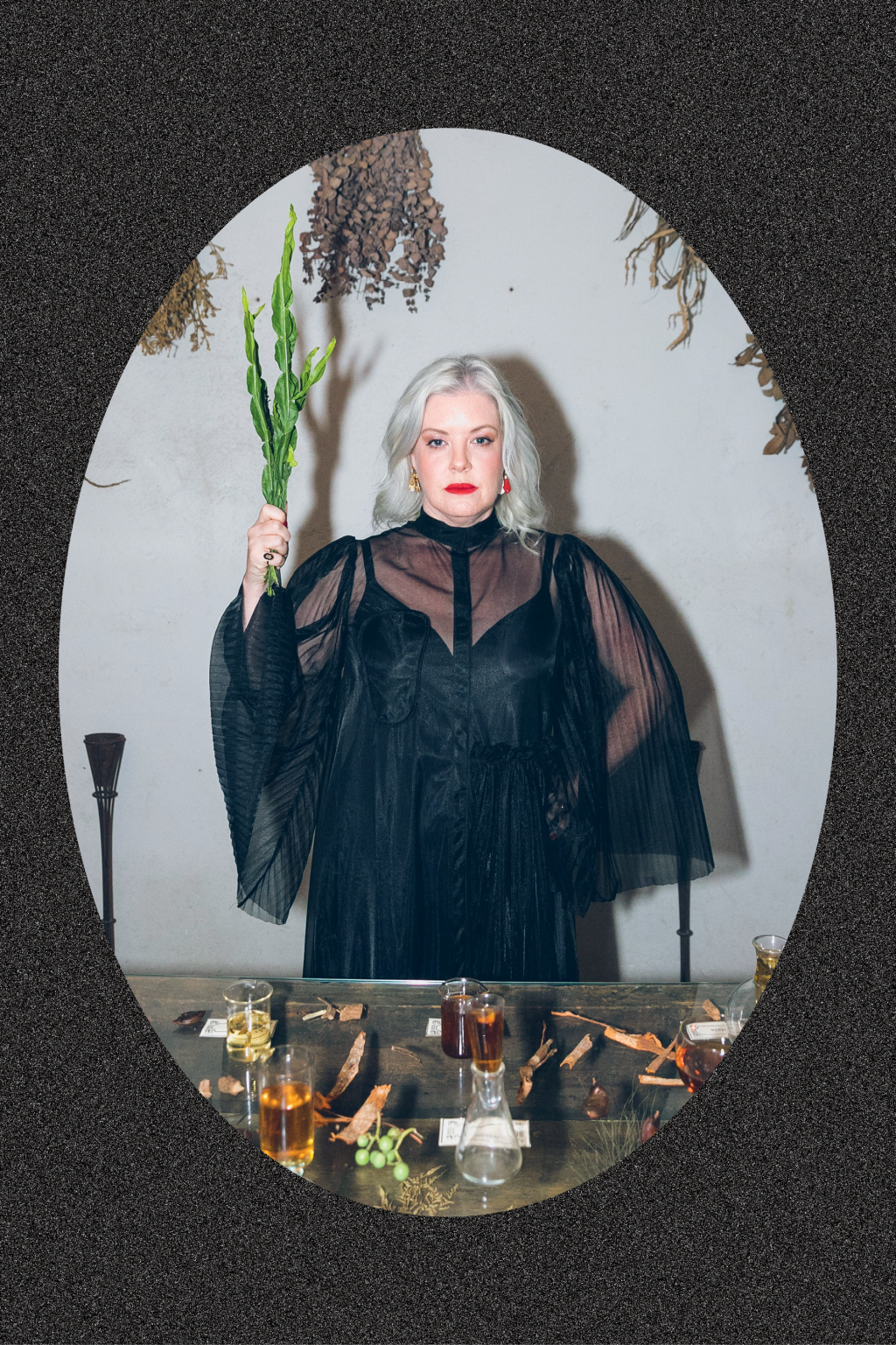 Receber Néli Pereira – Autora de Da Botica ao Boteco Receber Néli Pereira - Autora de Da Botica ao Boteco