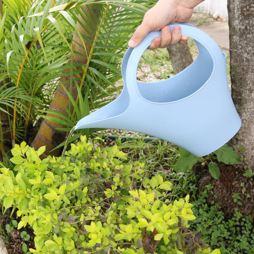 frequencia para regar as plantas no outono Durante o outono a rega das plantas deve ser diminuída