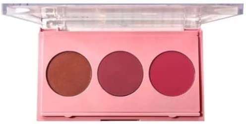 PALETA DE BLUSH 12G PH0318 PHALLEBEAUTY