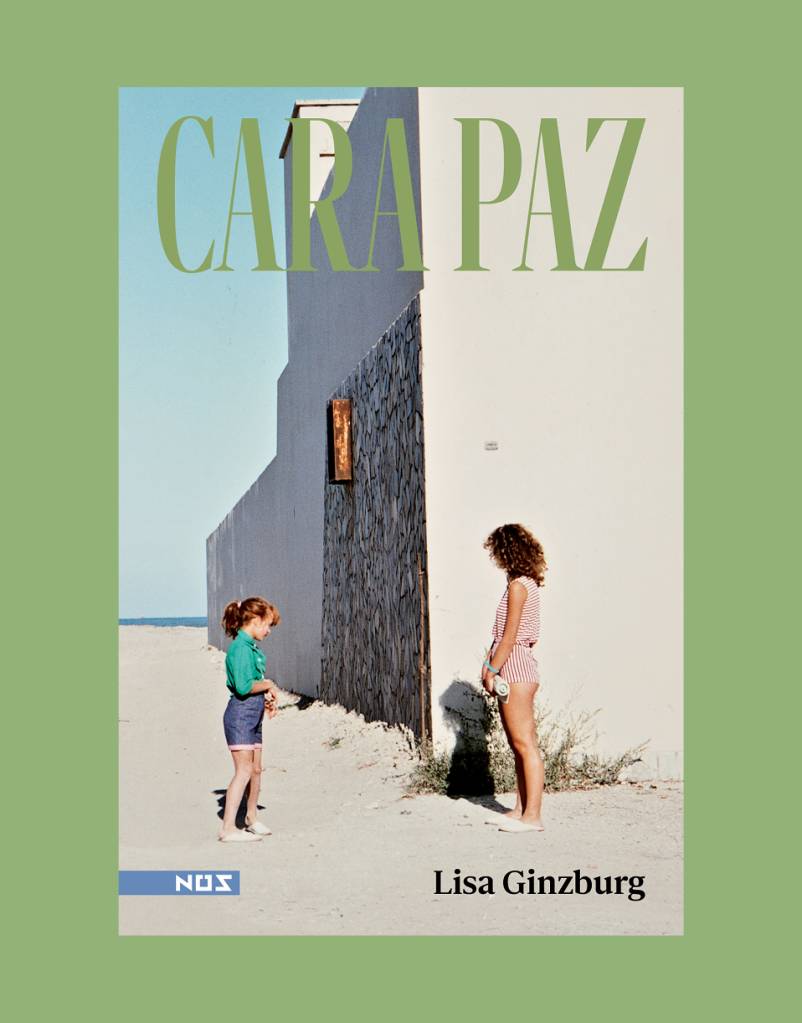 livro-cara-paz-lisa-ginzburg Livro