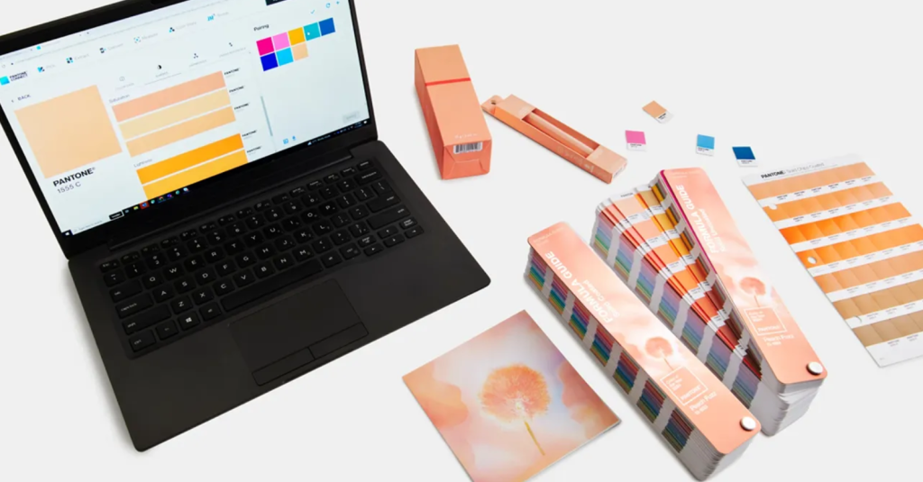 Pantone 2024 – Peach Fuzz