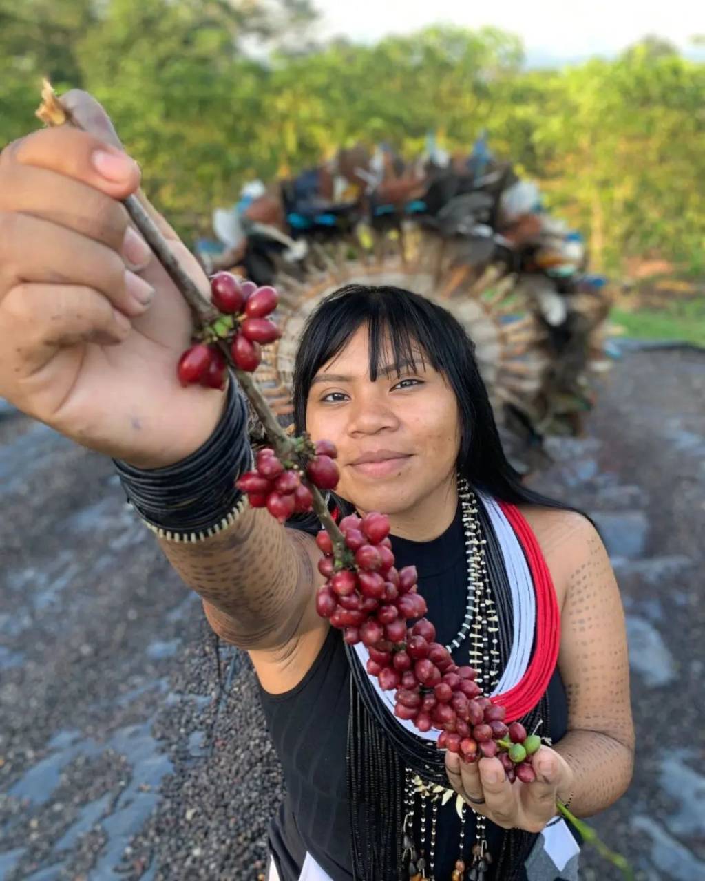 celesty-surui-barista-indigena-cafe Celesty Suruí é a primeira barista indígena do Brasil