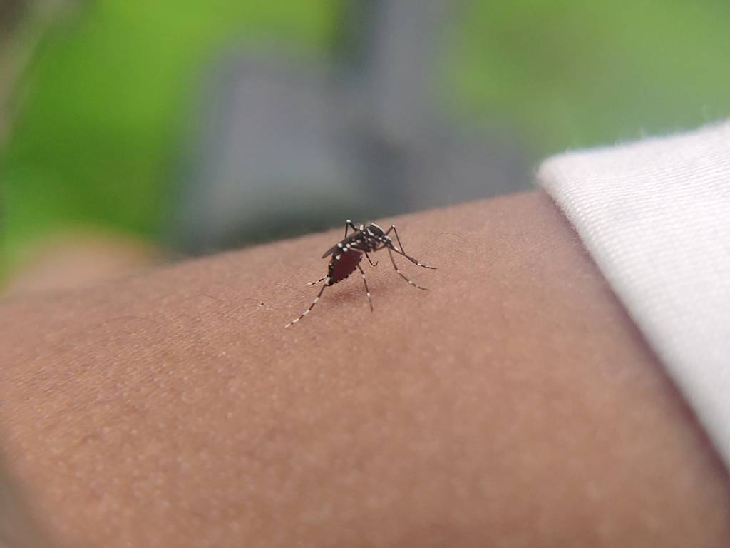 Ministério da Saúde amplia faixa etária da vacinação contra a dengue