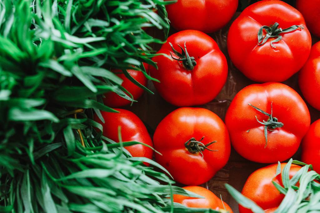 flores e hortaliças para o outono tomate