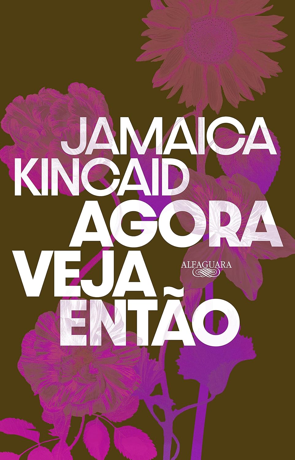 livro-agora-veja-entao Livro Agora veja então