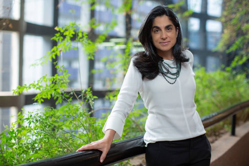 Fabiana Schaeffer – Divulgação abiana Schaeffer, CEO da Netza Martech Agency e cofundadora da Netza&CO