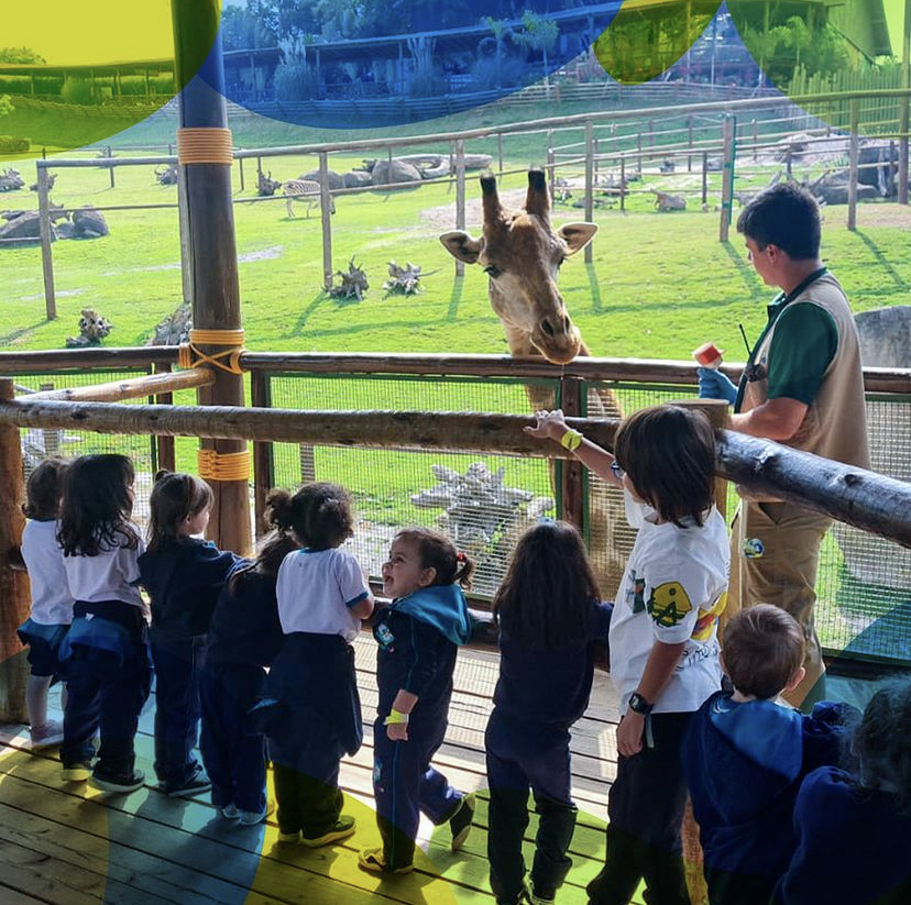 parque-de-diversões-opções-para-visitar-férias-animalia-park Parques de diversão