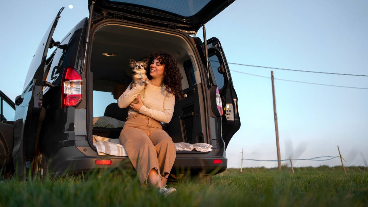 Dicas para viajar de carro com seu pet com segurança