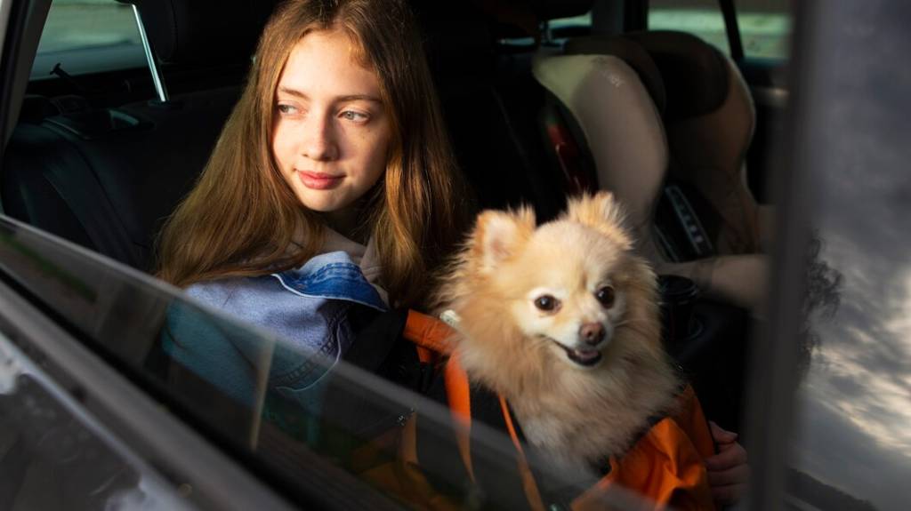 viajar-com-cachorro-de-carro Dicas para viajar de carro com seu pet com segurança