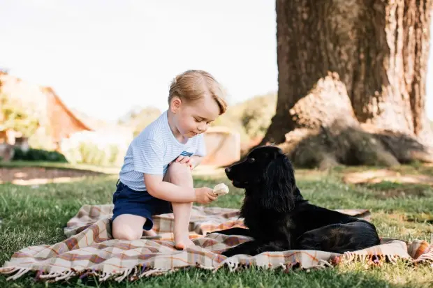 Aos 3 anos, o príncipe George se diverte com o cachorro da família real