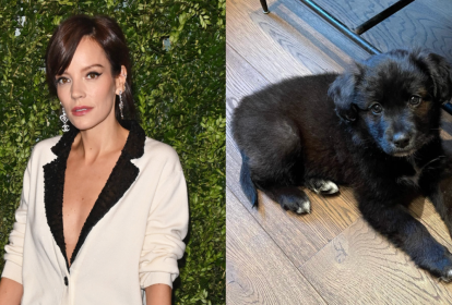 Lilly Allen devolve cachorra adotada para o abrigo