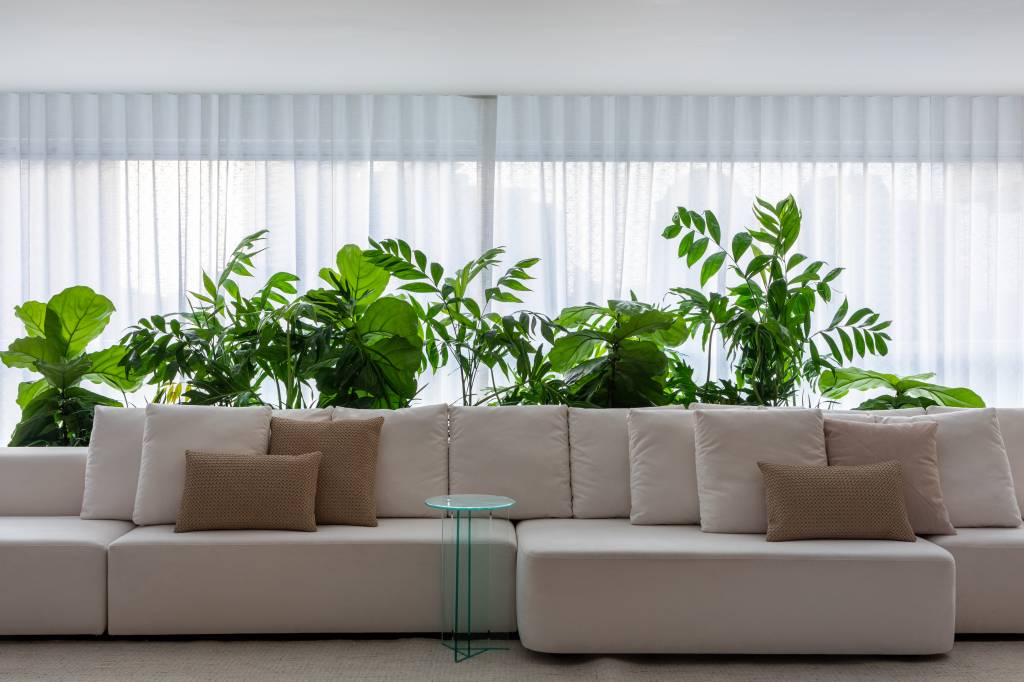 Projeto Ticiane Lima – Foto Renato Navarro (2) Plantas na decoração de uma sala de estar