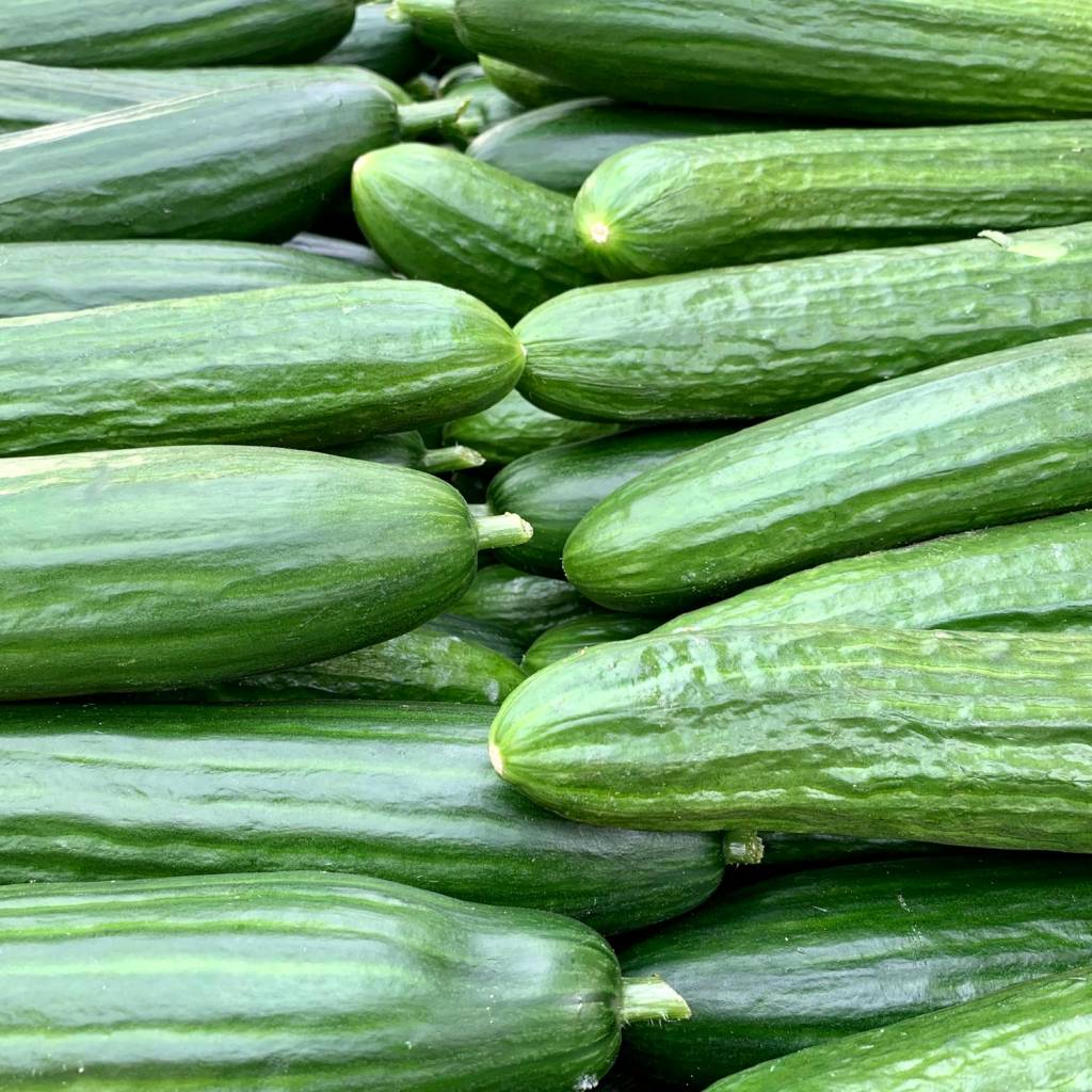 pepino-tonico Reduzir a oleosidade, tônico de pepino