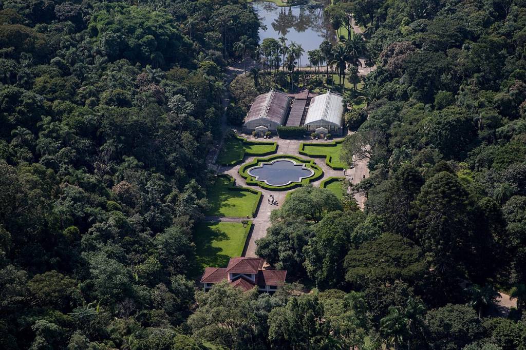 parques-diferentões-para-fazer-um-piquenique-jardim-botânico Jardim Botânico de São Paulo