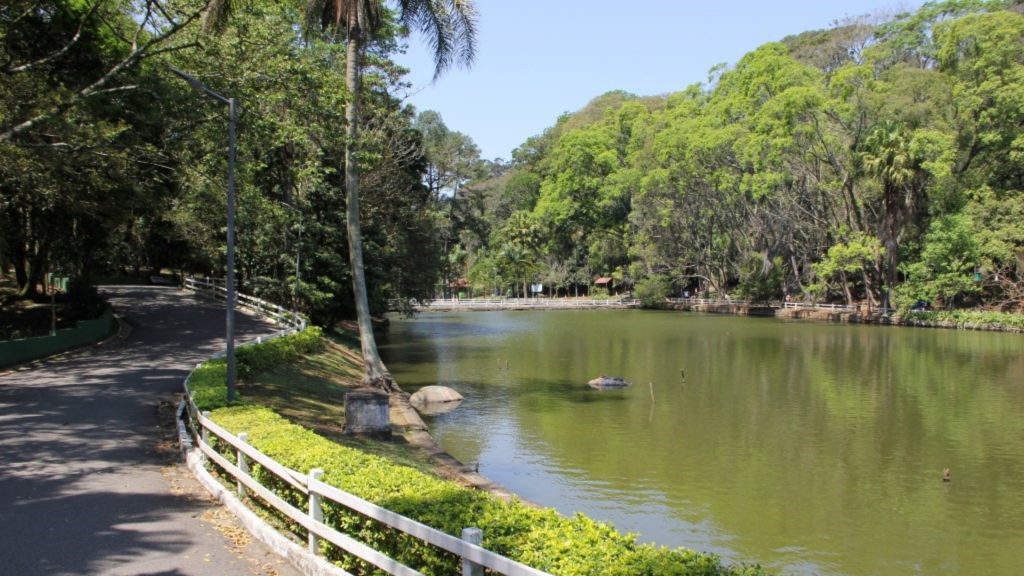 parques-para-fazer-piquenique-sp-horto-florestal O Horto Florestal é uma ótima opção para aproveitar com a família
