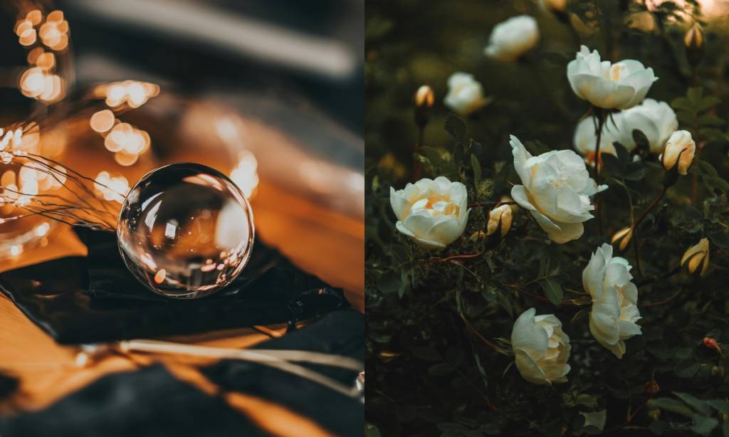 A Teoria das Estações Perdidas