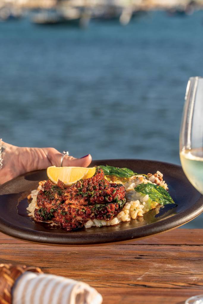IMAGEM VERTICAL – experiências2 Polvo confit, paella cremosa e uma vista que rouba a cena