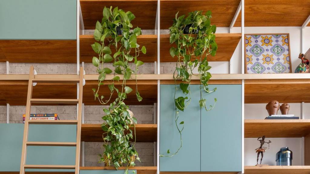 5 plantas com efeito cascata perfeitas para cultivar em casa