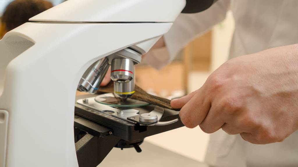 O ingrediente &eacute; resultado de uma pesquisa nas &aacute;guas doces do Cerrado brasileiro, onde foi encontrada uma microalga com componentes eficazes para cuidados com os cabelos, garantindo at&eacute; 95% de prote&ccedil;&atilde;o da cor e 33% de resist&ecirc;ncia dos fios.&nbsp;