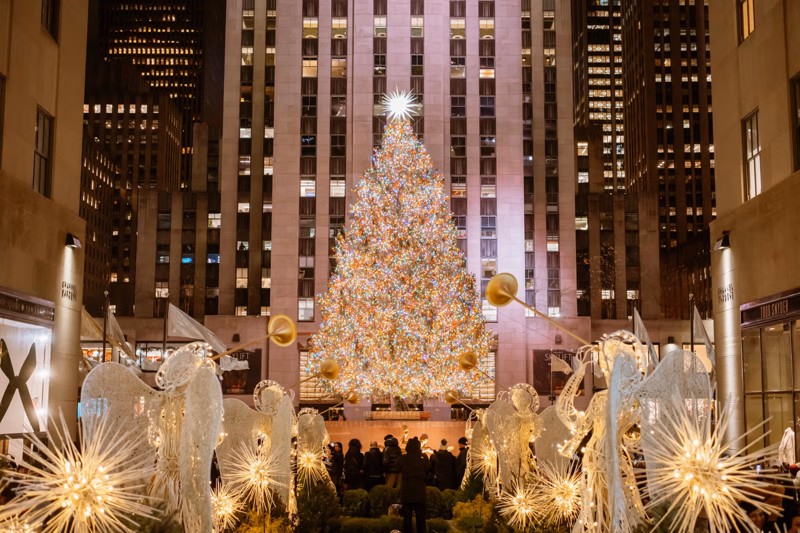Nova York: 4 restaurantes para aproveitar as férias de dezembro na cidade